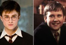 Was The Chosen One Prophecy About Harry Potter or Neville Longbottom?