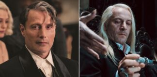 Who controlled the Elder Wand?