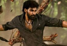 Bhairavam Box Office Collection Day 17