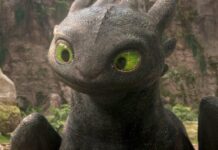 How To Train Your Dragon