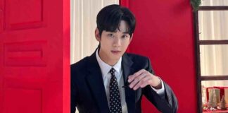 Kim Soo-Hyun Controversy