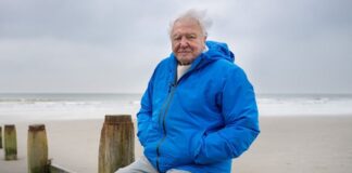 Ocean With David Attenborough
