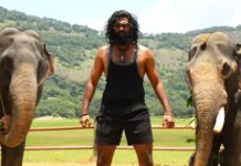 Padai Thalaivan Box Office Collection Day 12