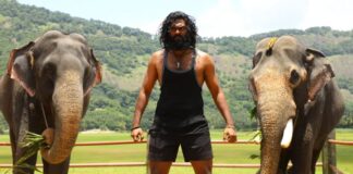 Padai Thalaivan Box Office Collection Day 12