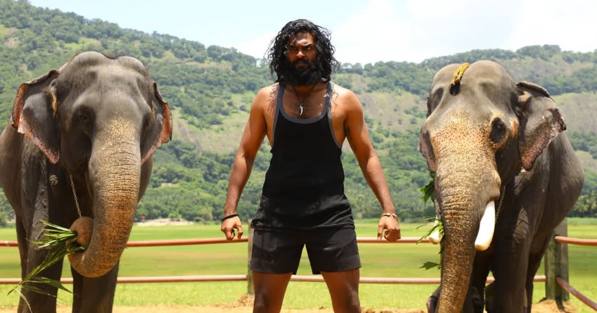 Padai Thalaivan Box Office Collection Day 12