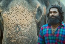 Padai Thalaivan Box Office Collection Day 4