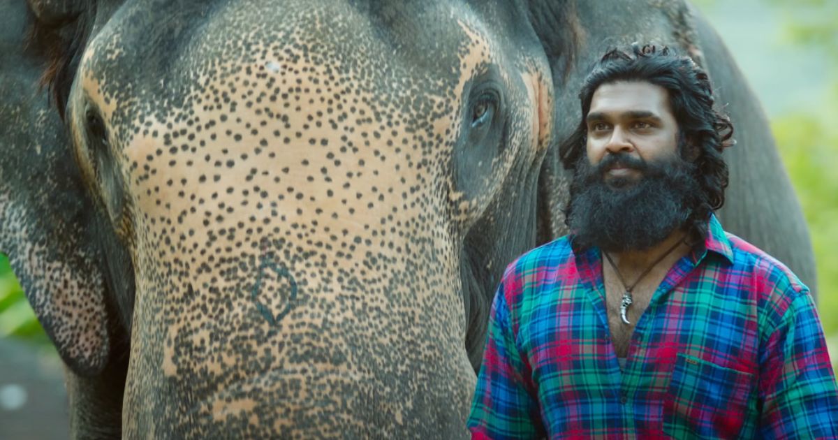 Padai Thalaivan Field Workplace Assortment Day 4: Shanmuga Pandian’s Movie Crashes By 50% After A Good Begin, Will It Be Dangerous Information?