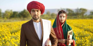 Phule Box Office (Closing Collection)