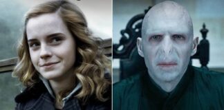 Harry Potter Stars Who Shined In Billion-Dollar Movies