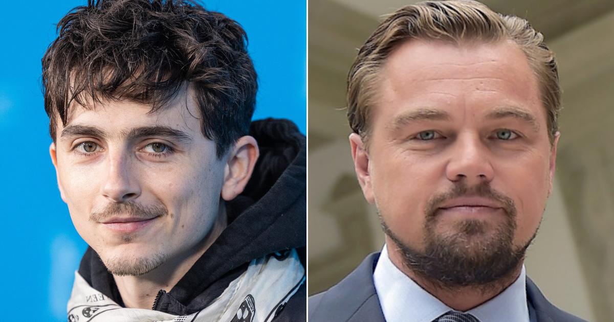 Timothée Chalamet Oscar Race