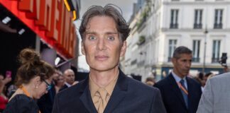 Which Marvel Roles Can Cillian Murphy Play?