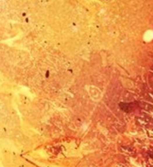 Kantara: Chapter 1