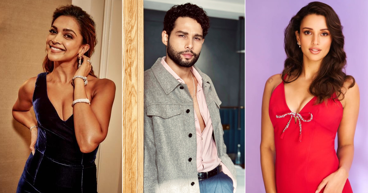 Outsiders Who Made It Big In Bollywood Including Siddhant Chaturvedi & Triptii Dimri