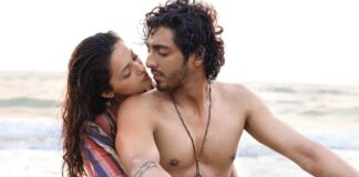 Saiyaara Box Office Collection Day 10