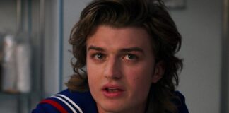 Stranger Things Final Season: Steve Harrington Should Live