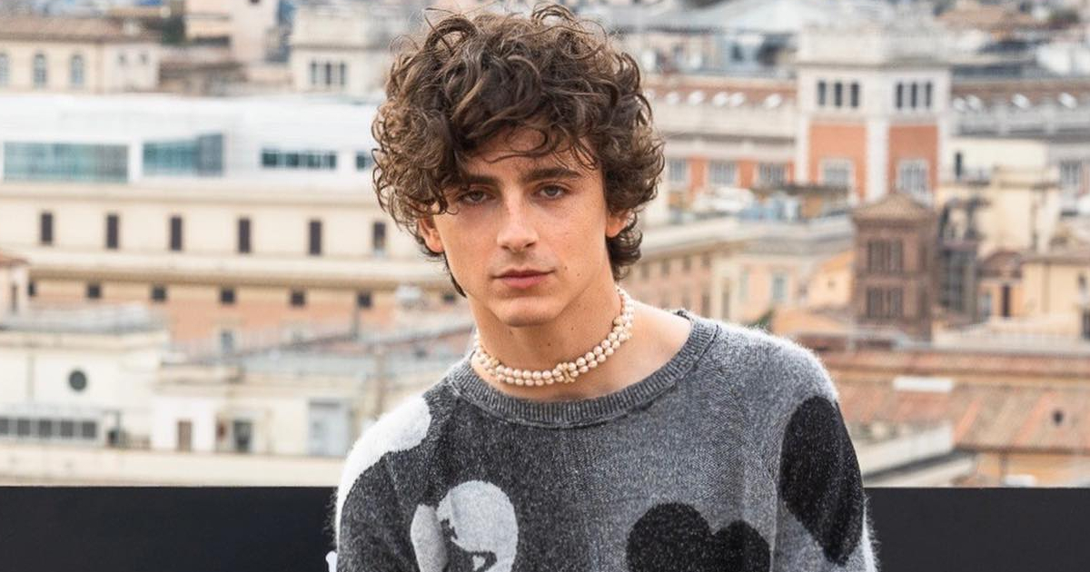 Timothée Chalamet Retains It Actual With A Easy Routine—No Intense Exercises, Simply Stability