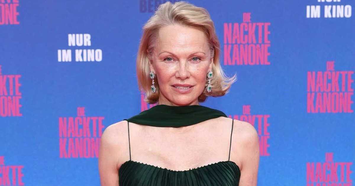 Baywatch Star Pamela Anderson Owns A $20 Million Fortune After Her Biggest Hollywood Break