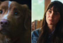 Strange Harvest: 90%-Rated Horror Movie No One Is Talking About