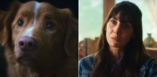 Strange Harvest: 90%-Rated Horror Movie No One Is Talking About