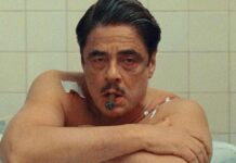 Wes Anderson Spy Comedy