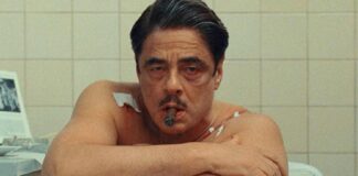 Wes Anderson Spy Comedy