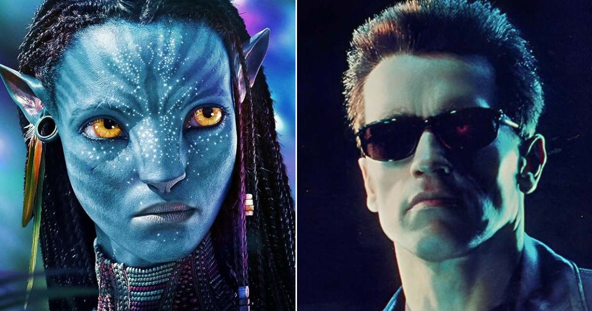 5 Highest Rated Films Ranked