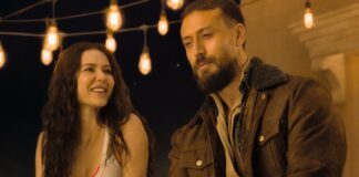 Baaghi 4 Worldwide Box Office Day 12