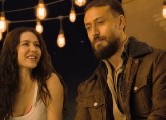 Baaghi 4 Worldwide Box Office Day 12