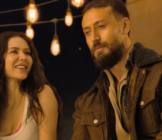Baaghi 4 Worldwide Box Office Day 12