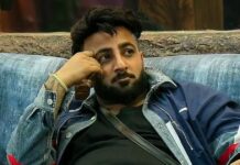 Bigg Boss 19 Wild Card Entries