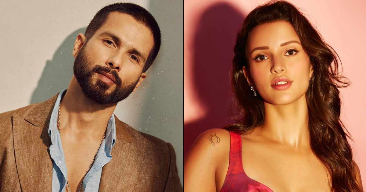 O Romeo Field Workplace On Valentine's Day 2026: Shahid Kapoor Goals A Milestone File Threatening Akshay Kumar's Place!