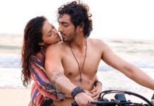 Saiyaara Box Office Collection Day 53