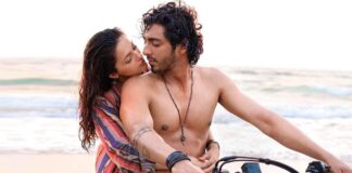 Saiyaara Box Office Collection Day 53