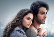 Saiyaara Worldwide Box Office Day 46