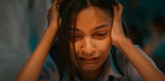 Vash Level 2 Box Office Collection Day 6