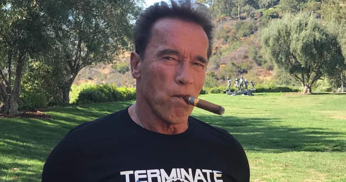 Arnold Schwarzenegger Once Revealed How He Felt embarrassed by The Box Office Failure Of A Cult Classic 