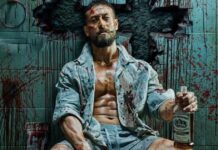 Baaghi 4 Box Office Update!