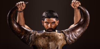 Bison Box Office