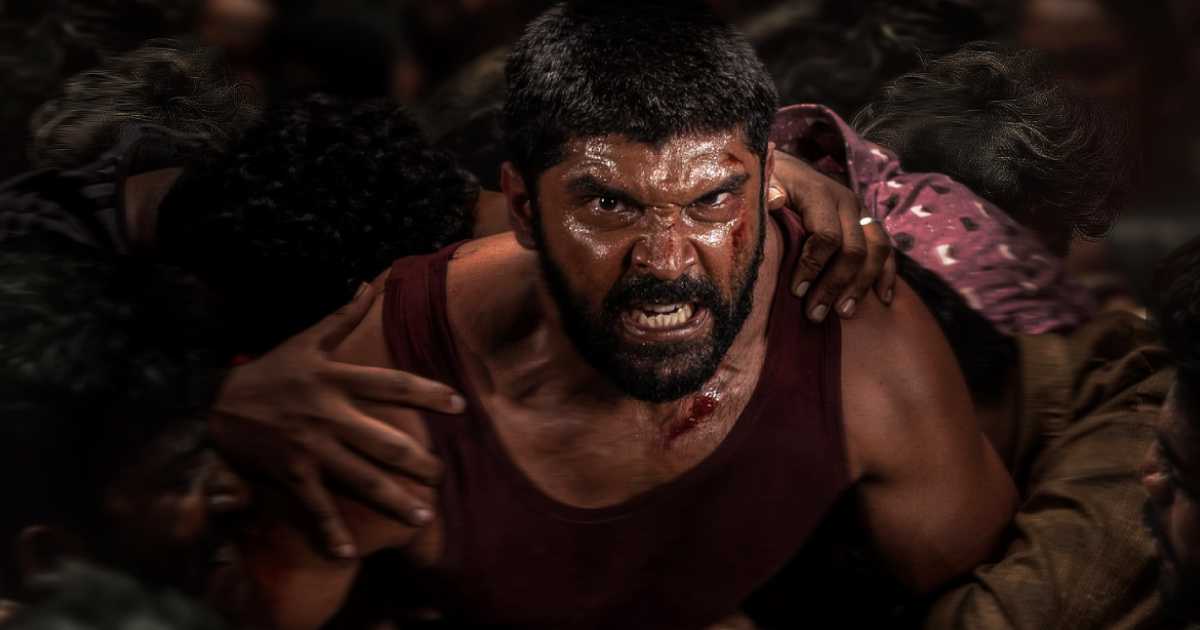 Bison Kaalamaadan Box Office Day 8