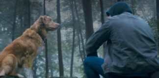 Good Boy North America Box Office