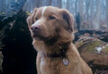 Here’s What Happens At The End Of Good Boy!
