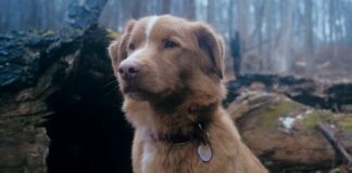 Here’s What Happens At The End Of Good Boy!
