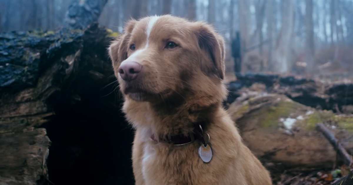 Here’s What Happens At The End Of Good Boy!