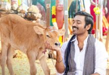 Idli Kadai Worldwide Box Office: Dhanush Surpasses Lifetime Collection Of The Most Profitable Tamil Film Of 2025