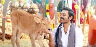 Idli Kadai Worldwide Box Office: Dhanush Surpasses Lifetime Collection Of The Most Profitable Tamil Film Of 2025