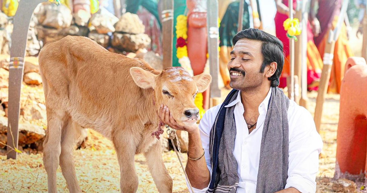 Idli Kadai Worldwide Box Office: Dhanush Surpasses Lifetime Collection Of The Most Profitable Tamil Film Of 2025