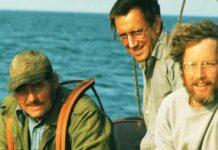 Jaws franchise films at the box office