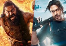 Kantara: Chapter 1 Box Office Collection Day 20: Beats Shah Rukh Khan's Pathaan