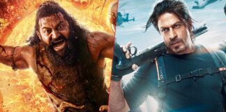 Kantara: Chapter 1 Box Office Collection Day 20: Beats Shah Rukh Khan's Pathaan