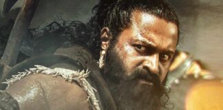Kantara Chapter 1 Hindi Box Office Day 20